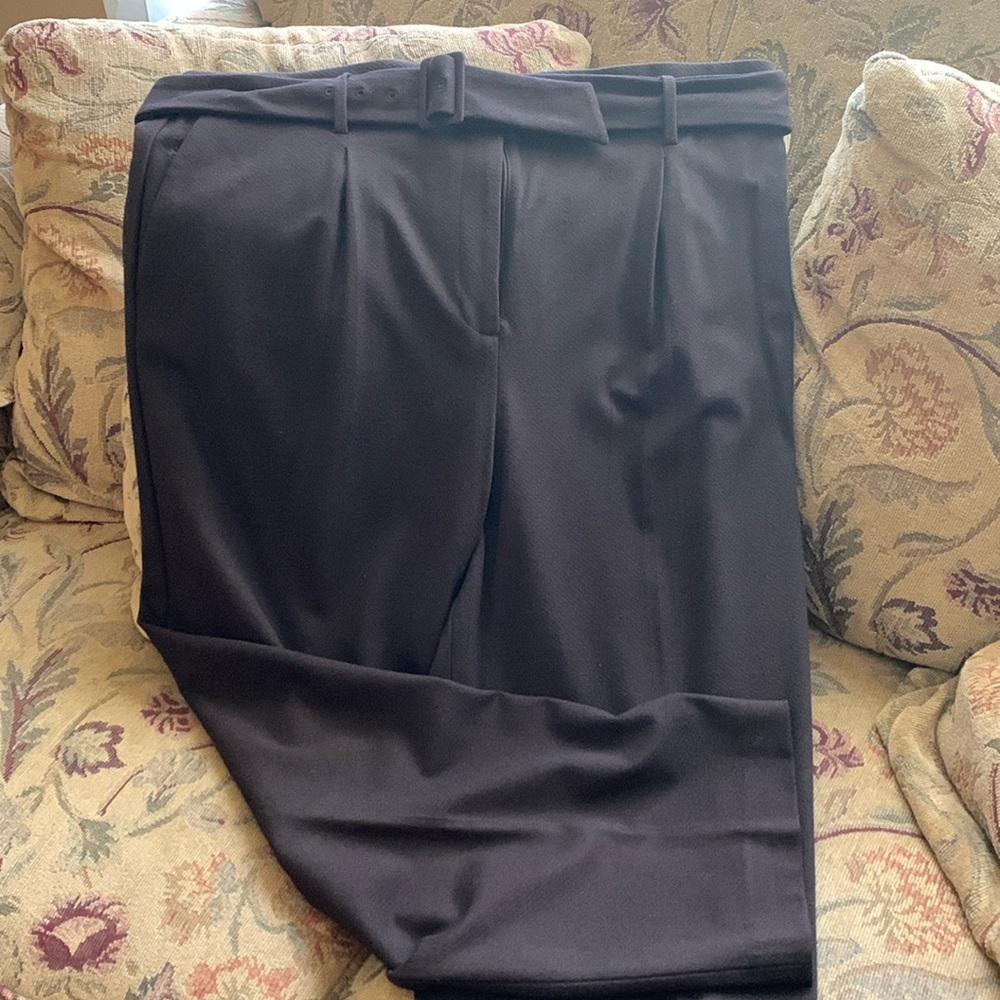Ann Taylor Pants